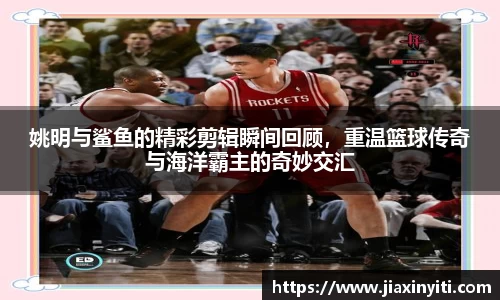好博体育官方网站